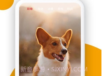 小狗看看v1.0.0.7截图