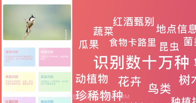超强识别v1.0.5截图