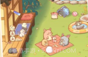我有一间萌宠小院v1.0.12截图