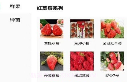 泉水草莓v2.2.11截图
