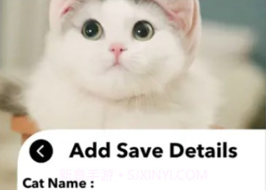 爱猫物语宠物店软件v1.0.6截图