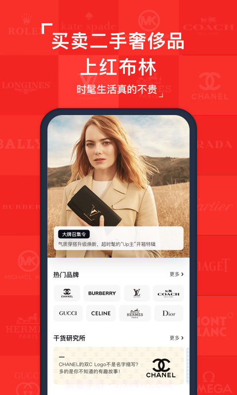 红布林plumv3.2.14截图