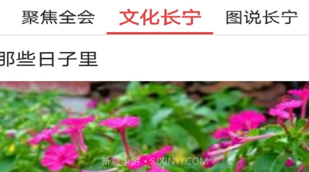 掌上长宁v4.3.13截图
