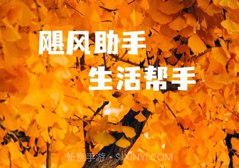 飓风手机助手v1.0.6截图