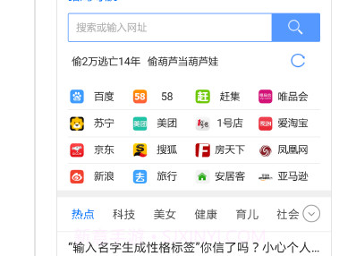 猎鹰浏览器v2.9截图