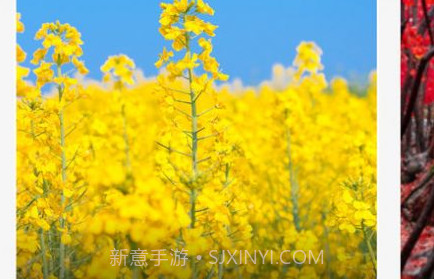 漫野趣行v1.0.10截图