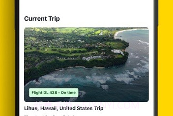 cheapflights鐎瑰宕渧1.5截图