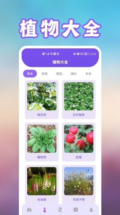 养花录1.9截图