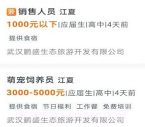 江夏招聘网v1.1.8截图