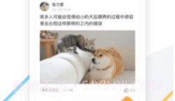 K9犬网(k9犬网自由交易)V1.4 安卓最新版V1.8截图