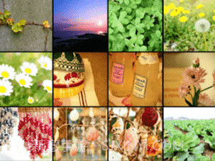 OLYMPUS Image Sharev2.5截图