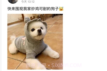 宠乐园( 宠物服务)v1.7截图