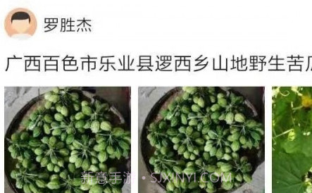 助农通v1.0.13截图