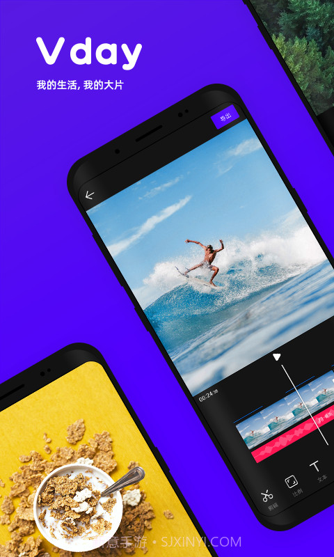 VDAYv1.8.10截图