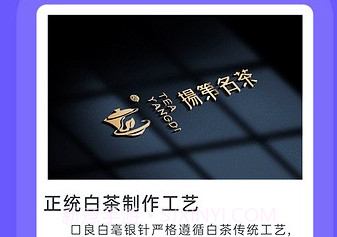 Word文档极速版v2.2.7截图