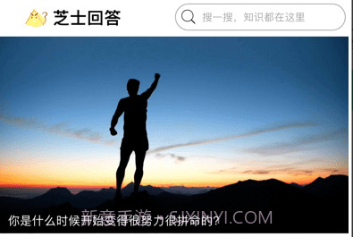芝士问答v1.0.11截图