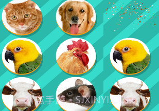 Pet Translatorv1.10截图