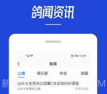青鸽网v3.6.10截图