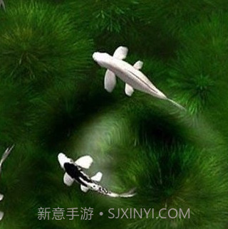 自由锦鲤动态壁纸v1.12.9截图