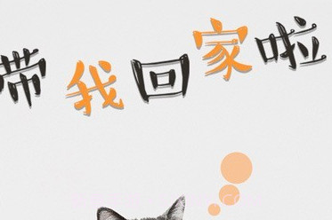 猫行狗市v4.1.4截图