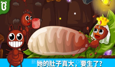 宝宝巴士宝宝认蚂蚁v1.8截图