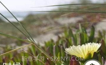 Facialv1.3.6截图