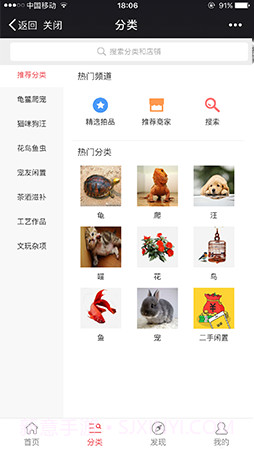 拍宠1.80截图