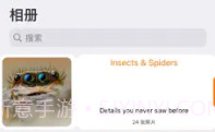 PiwigoV1.0.9截图