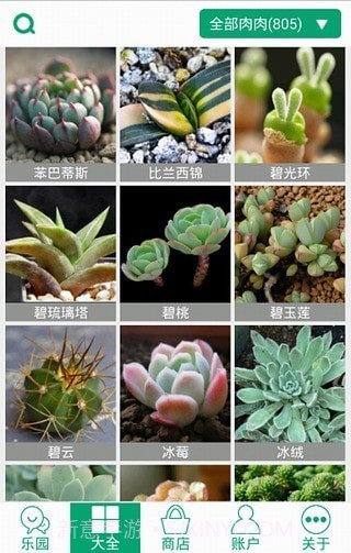 多肉植物2.5.10截图