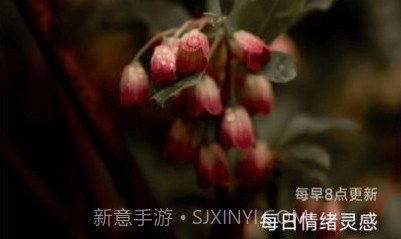 乐业计步v2.0.8截图