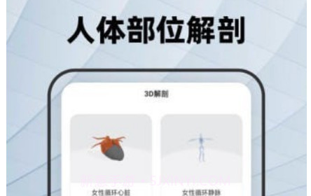 人体骨骼v2.0.12截图