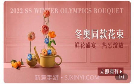 北京花卉v1.11截图