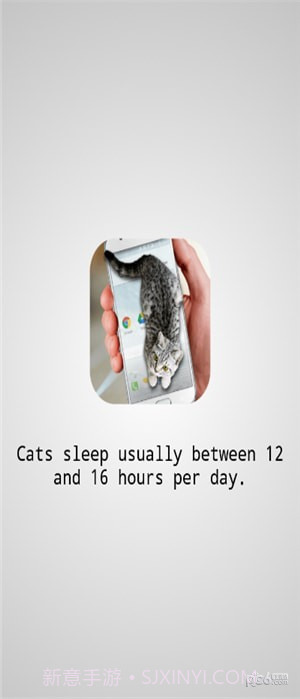 猫咪桌宠v1.94截图