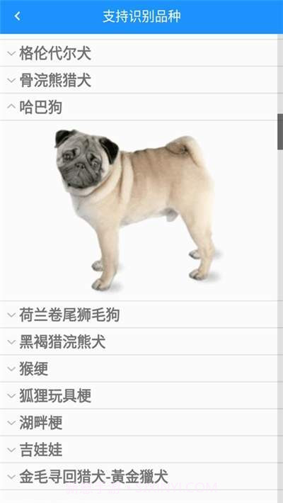 哈狗识别v1.0.7截图