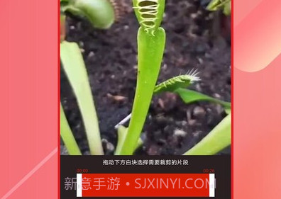 视频倒放大师v1.2.6截图