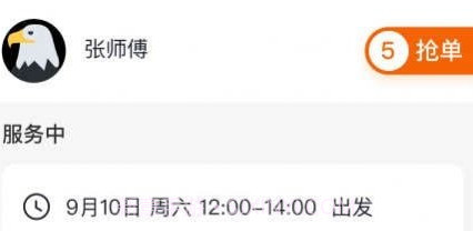 宠集服务端v1.0.11截图