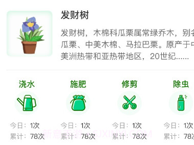植物天气预报v1.0.9截图
