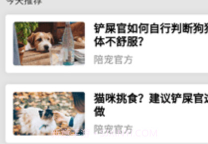 陪宠宠物v1.0.16截图