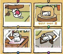 猫咪后院下载中文版v1.8截图