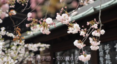 每日文摘v1.0.12截图