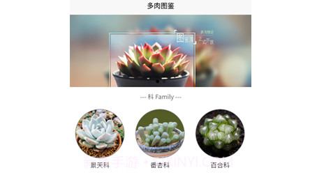 肉叶汉字拼音v1.11截图