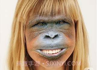 faceswap汉化版v2.1.9截图