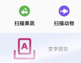 野菊轻处理v1.0.10截图