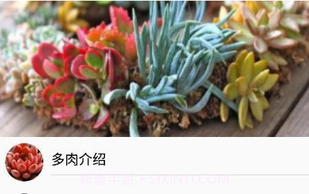 小墨多肉日记v1.10截图
