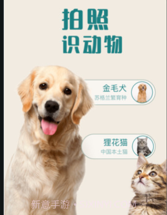 花卉识别v1.0.12截图
