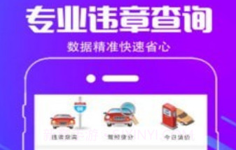 车行违章查询v4.3.11截图