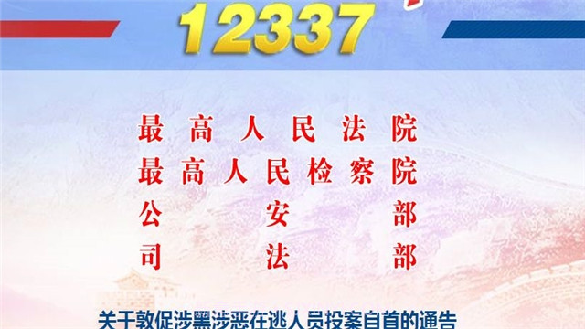 12337全国扫黑办智能化举报正式版平台v1.5截图