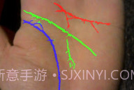 免费拍照看手相算命V1.0.8截图