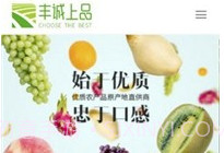 丰诚上品v1.0.8截图