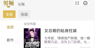 顽石小说v1.9截图